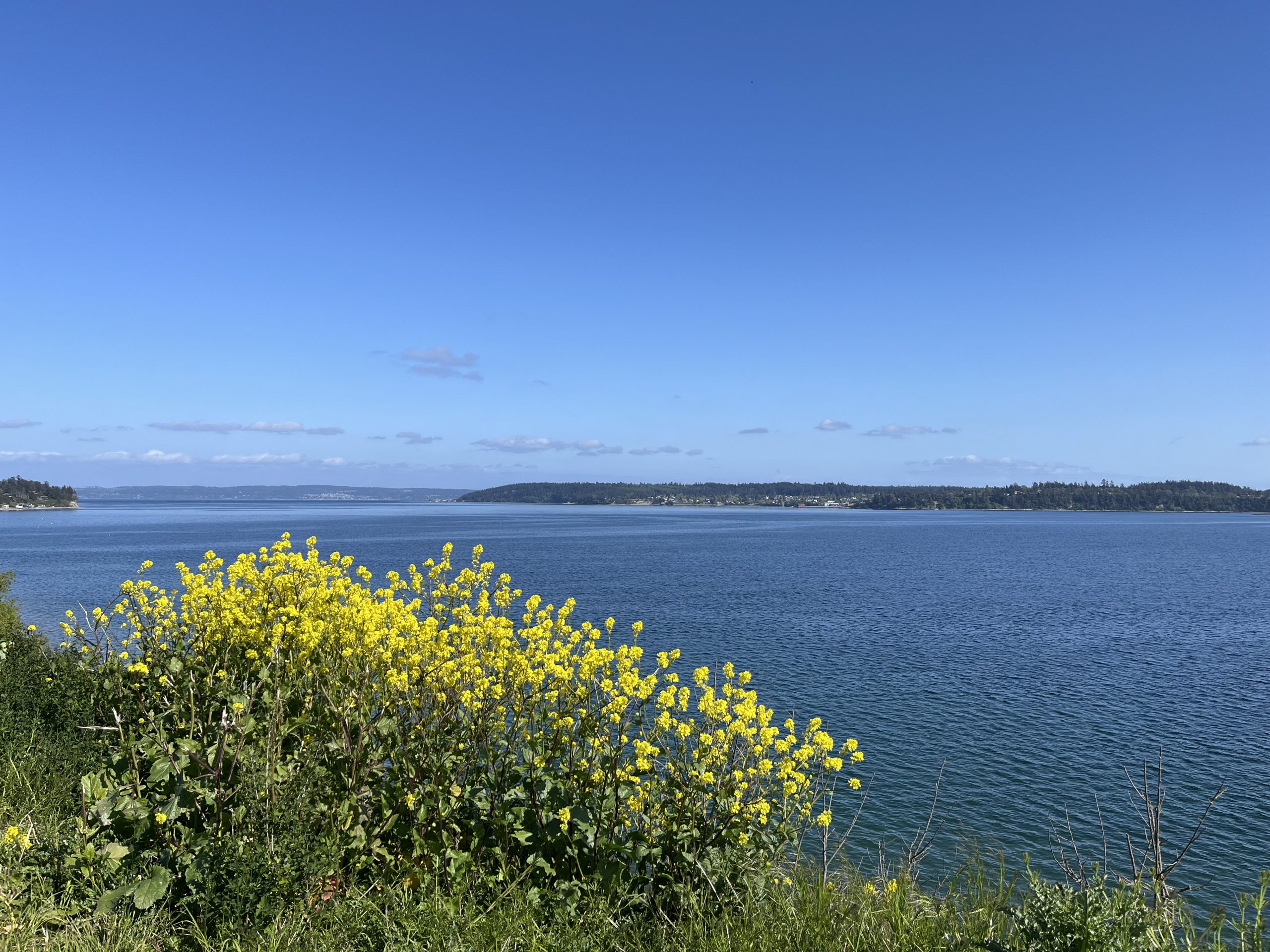 Day 2 : Bow to Coupeville