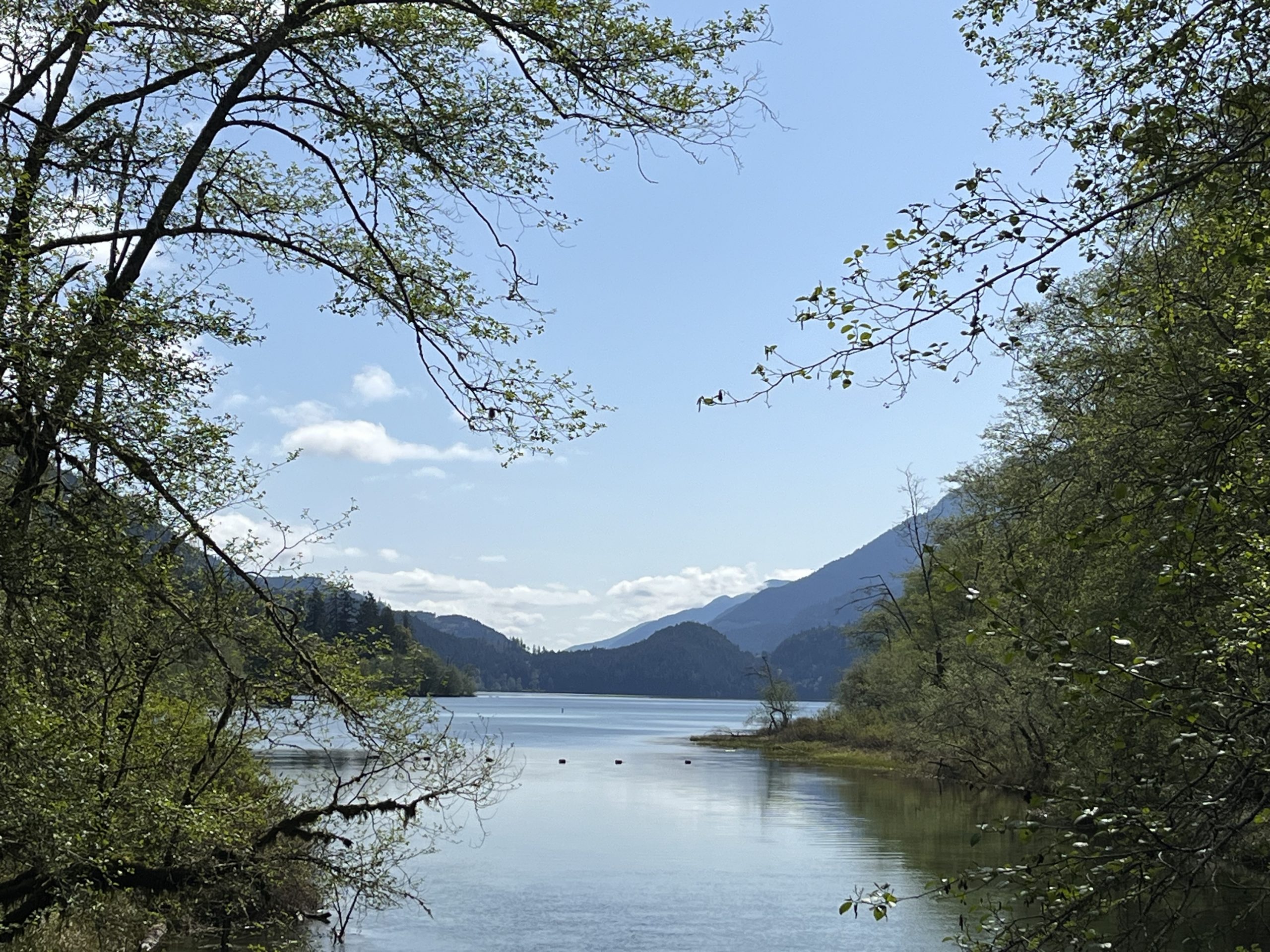 Day 5 : Joyce to Forks