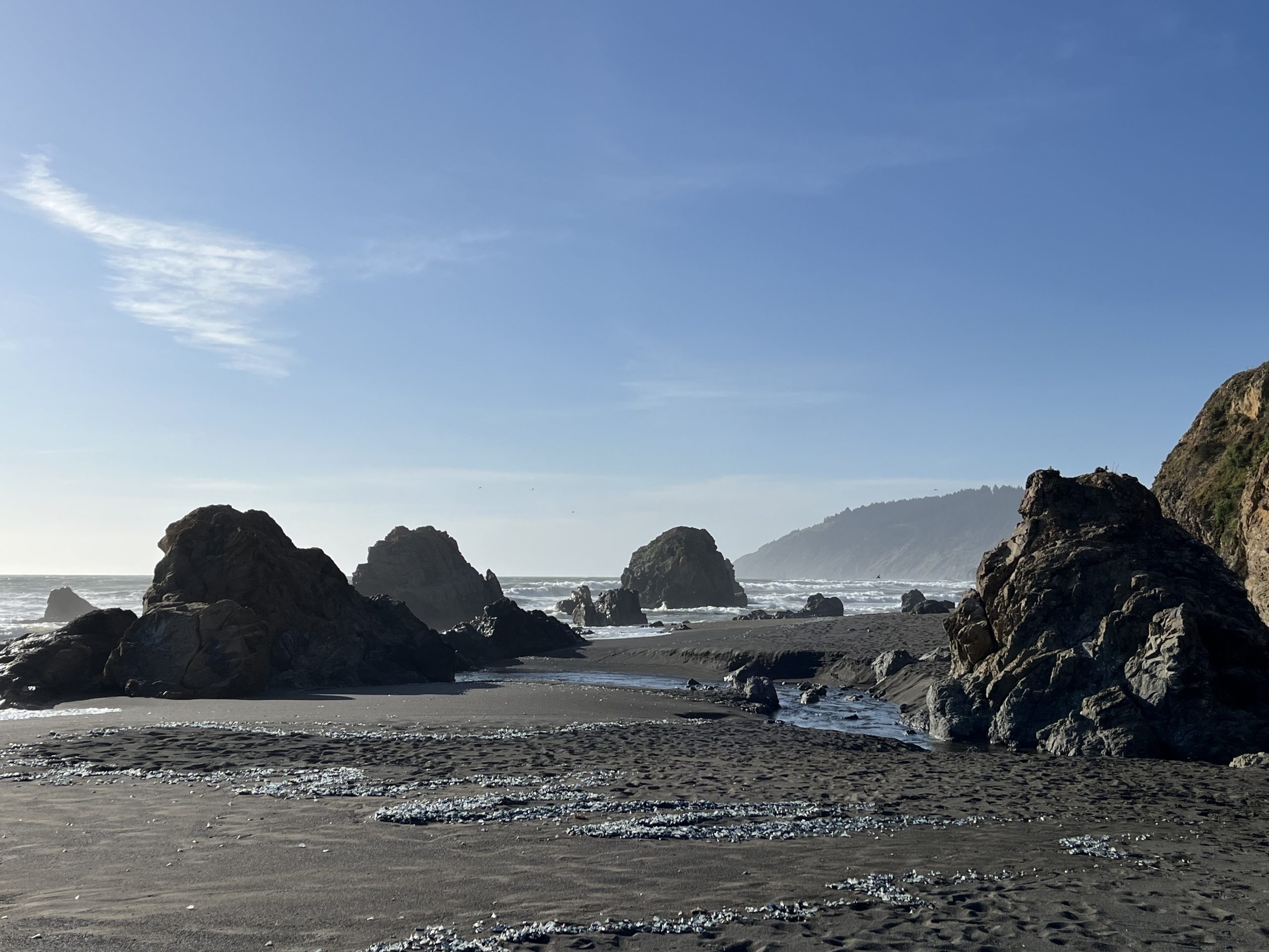 Day 3 : Redway to Howard Creek