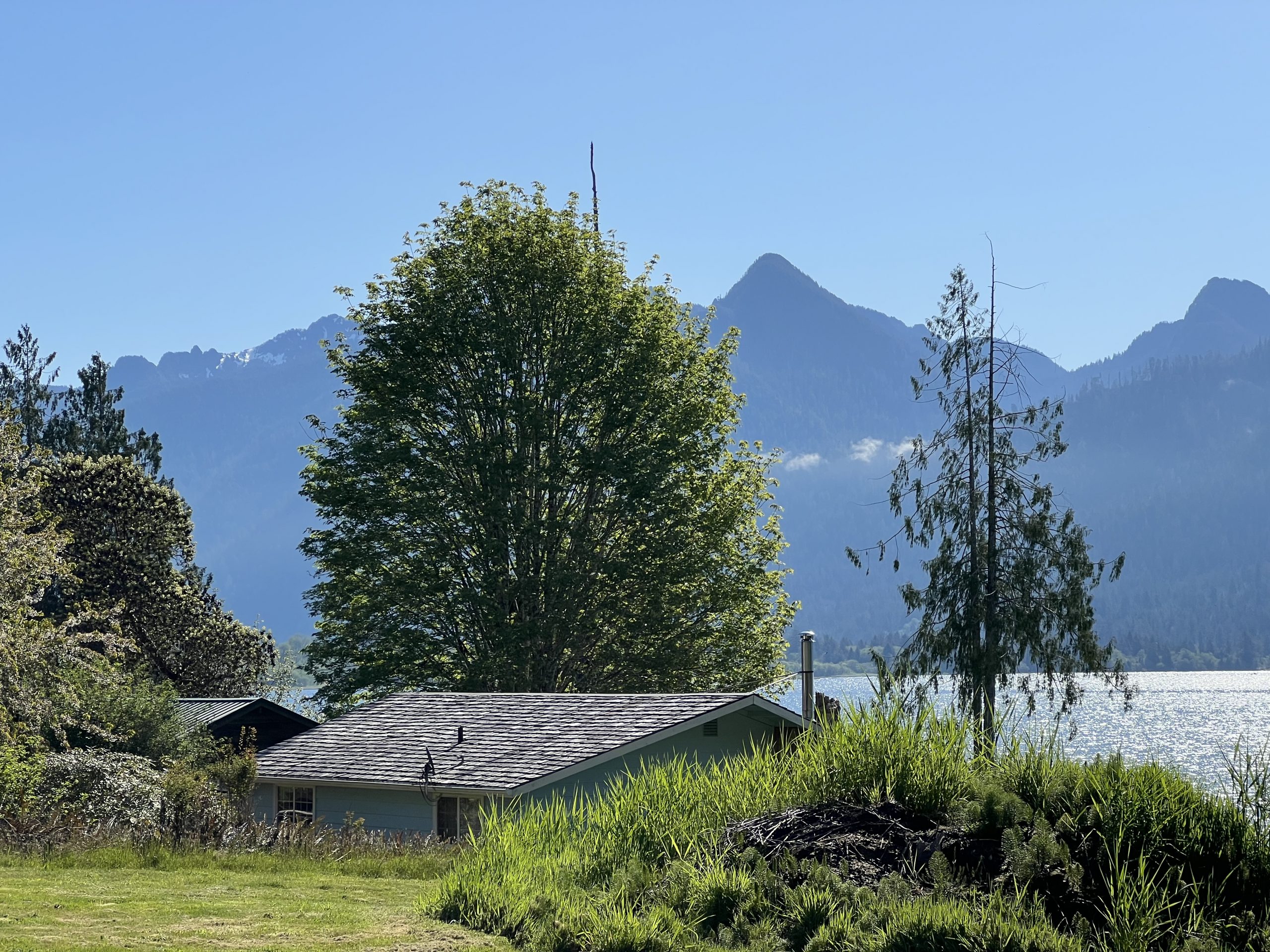 Day 7 : Lake Quinault to Aberdeen