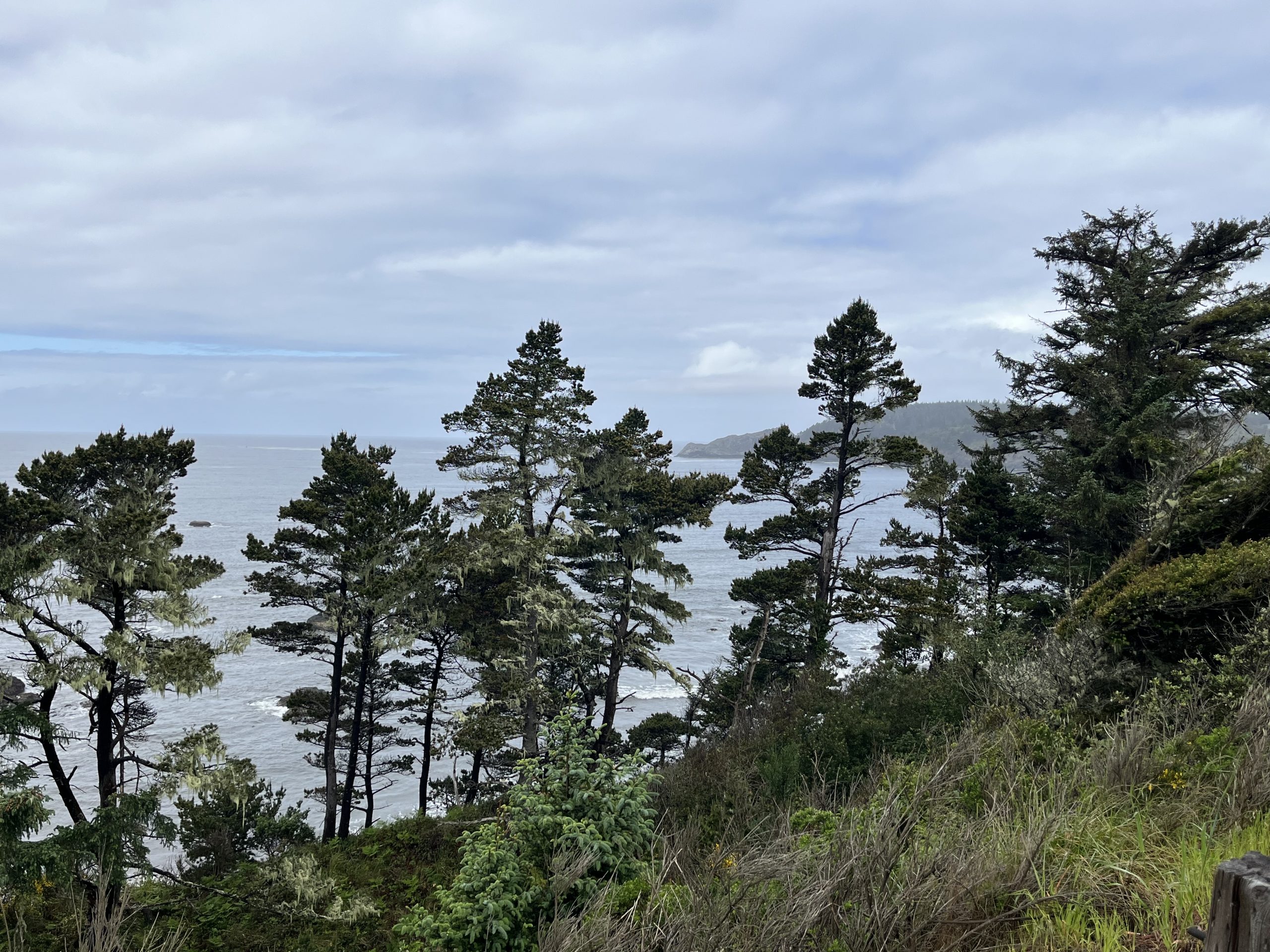 Day 18 : Port Orford to Gold Beach