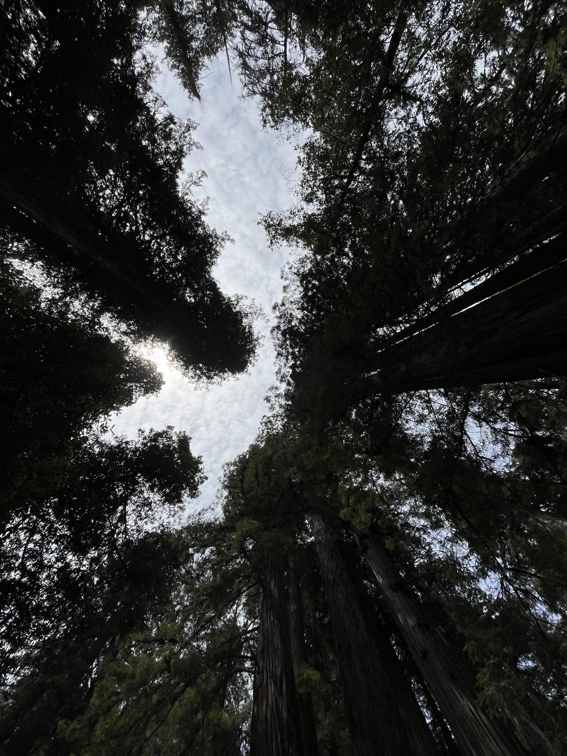 Day 20 : Smith River to Klamath
