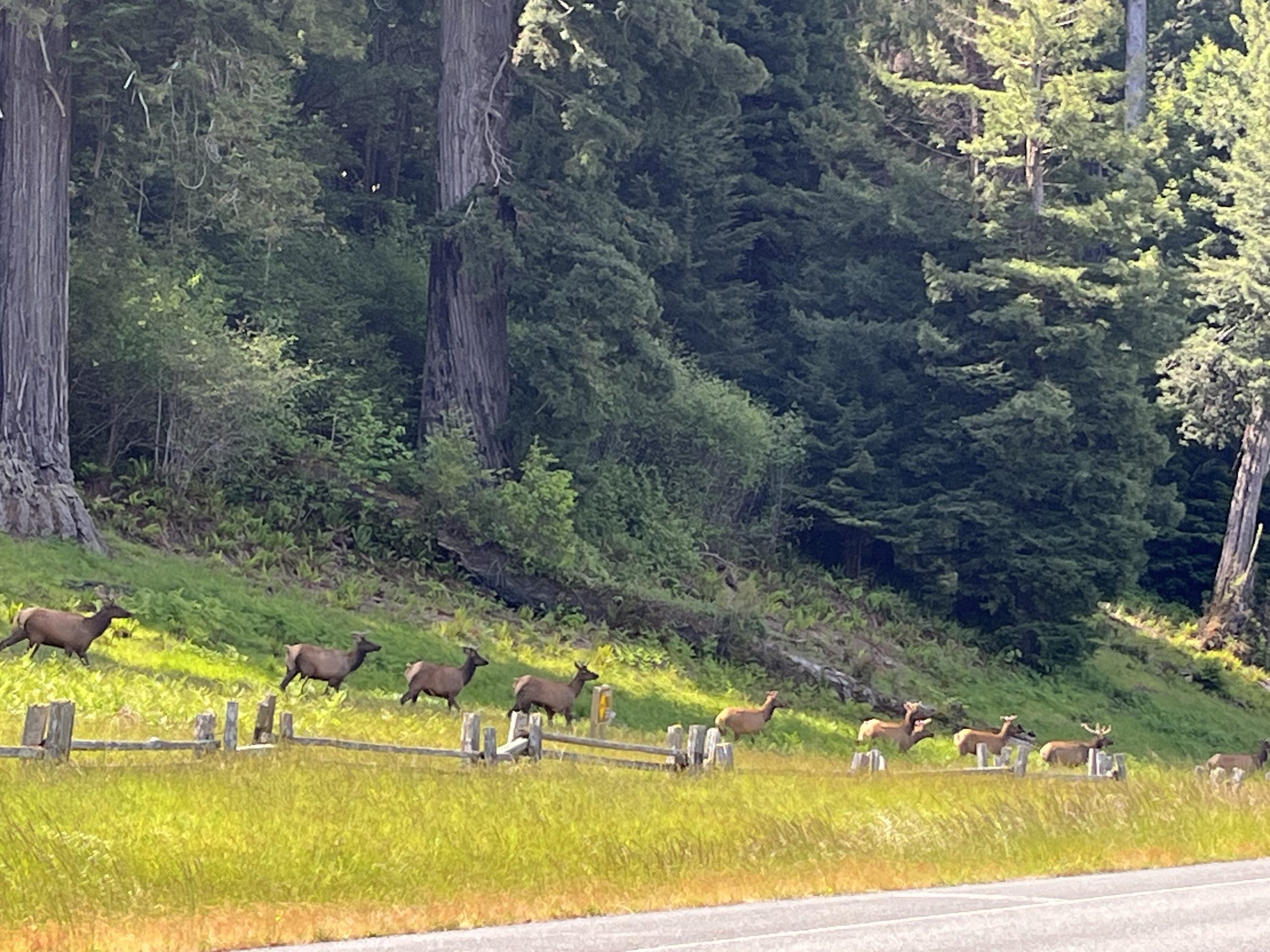 Day 21 : Klamath to McKinleyville