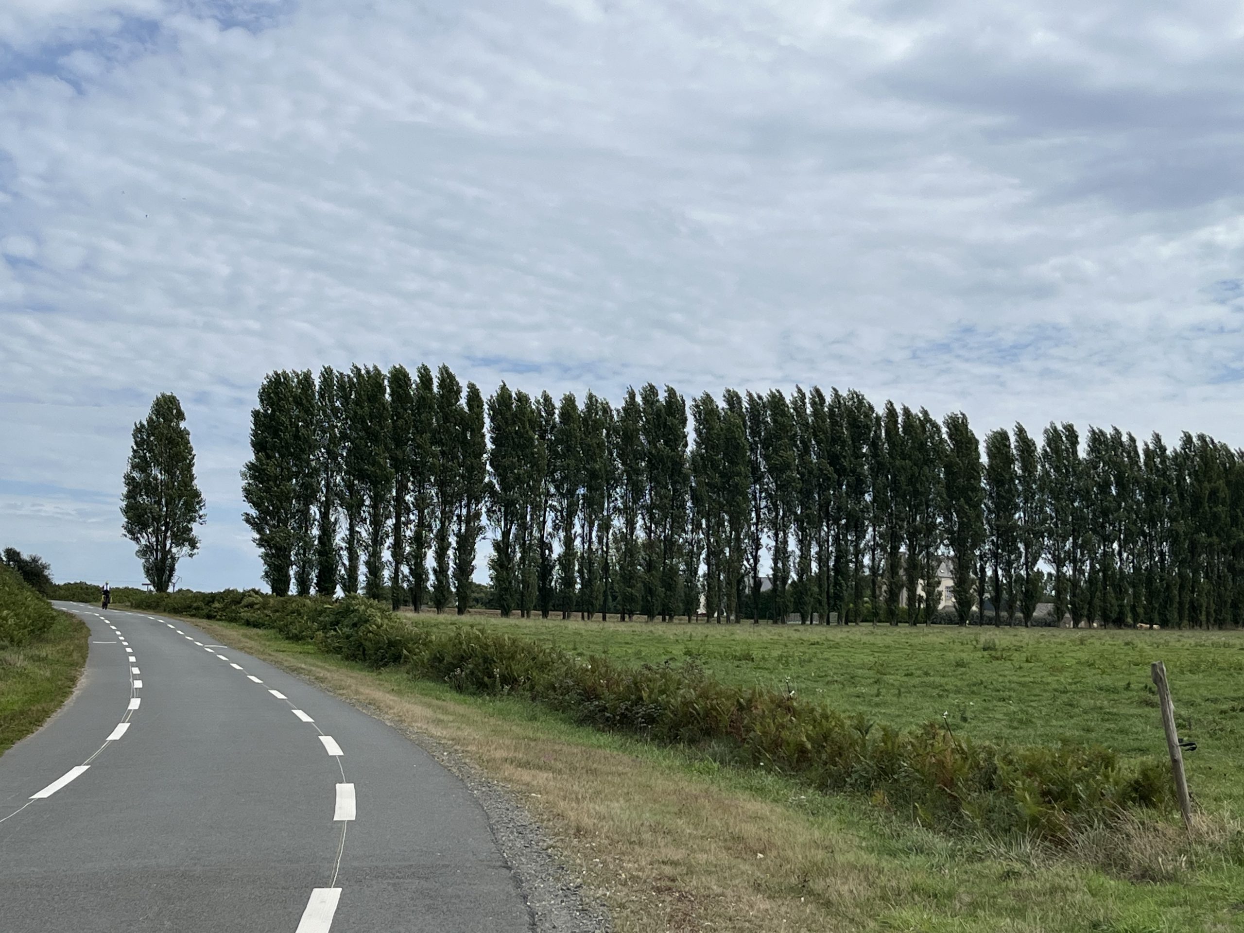 Day 1 : Roscoff to Plougonven