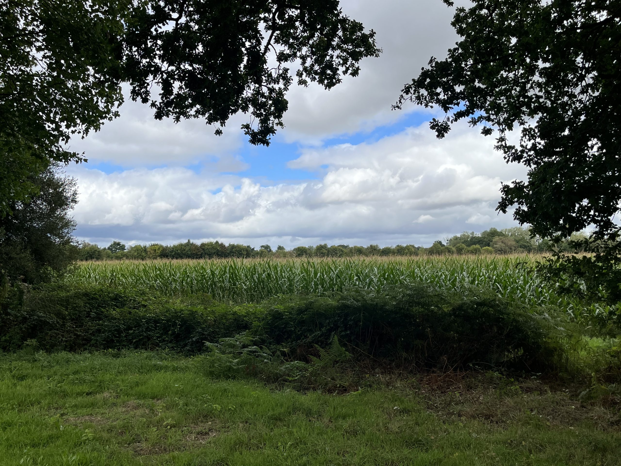 Day 3 : Glomel to Pontivy