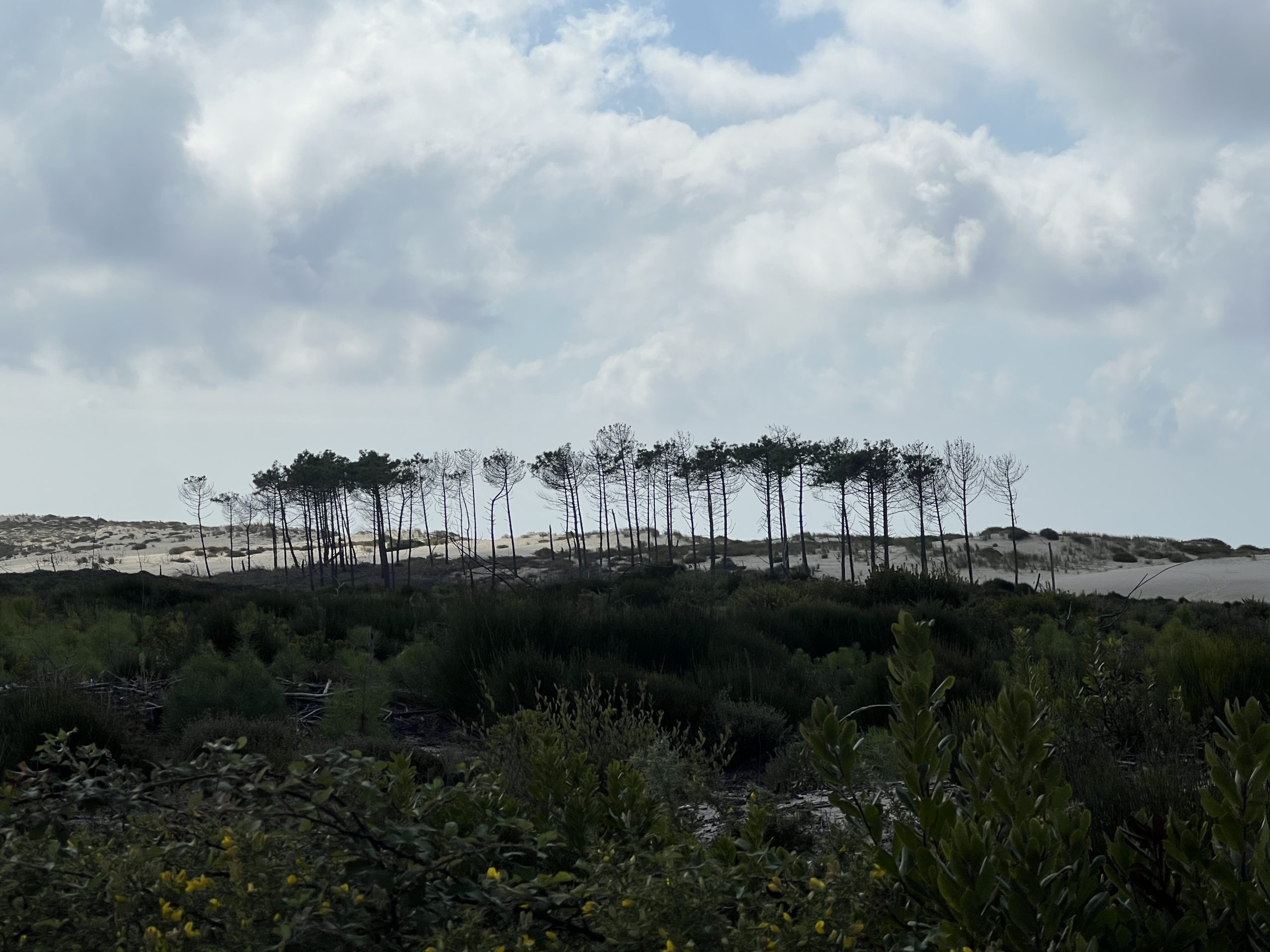 Day 20 : Cazaux to Biscarosse